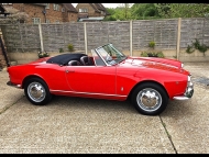 Alfa Romeo Giulietta Spider Veloce photograph