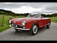 Alfa Romeo Giulietta Spider 750D SWB - Concours photograph